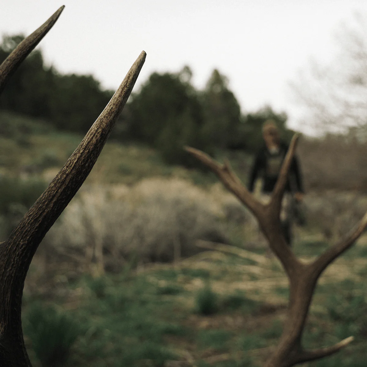 Thumbnail 67